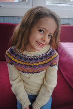 Load image into Gallery viewer, Natural Dye Kit