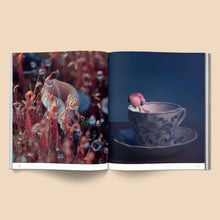 Load image into Gallery viewer, Spores: Magical Mushroom Photography Book