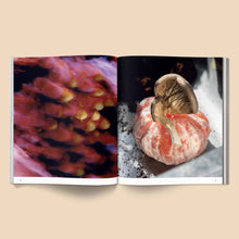Load image into Gallery viewer, Spores: Magical Mushroom Photography Book