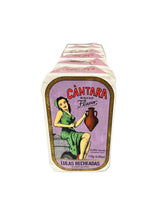 Load image into Gallery viewer, Cantara Brand Stuffed Squids Portuguese