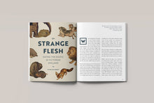 Load image into Gallery viewer, No. 3: Rare