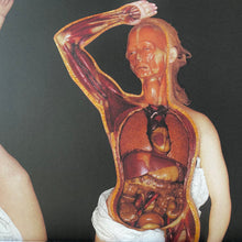 Load image into Gallery viewer, The Anatomical Venus
