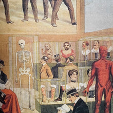 Load image into Gallery viewer, The Anatomical Venus