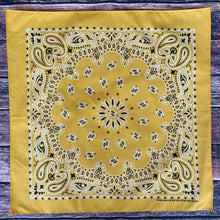 Load image into Gallery viewer, Hav-a-Hank USA made Bandannas