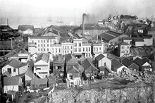 Load image into Gallery viewer, Women's Dog Patch Tee