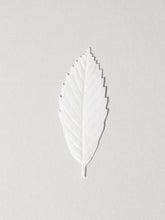 Load image into Gallery viewer, HA KO Paper Incense - Cedar
